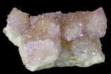 Cactus Quartz (Amethyst) Crystal Cluster - South Africa #137773-1
